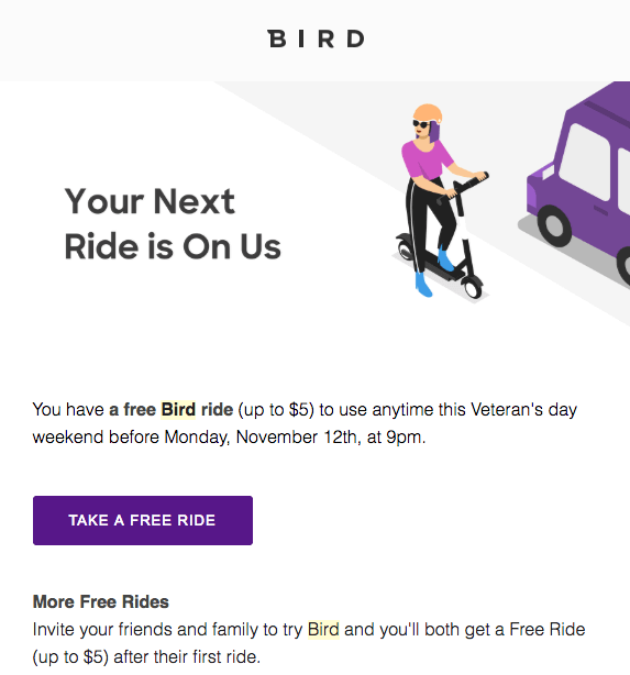 Example of a bird promotional email
