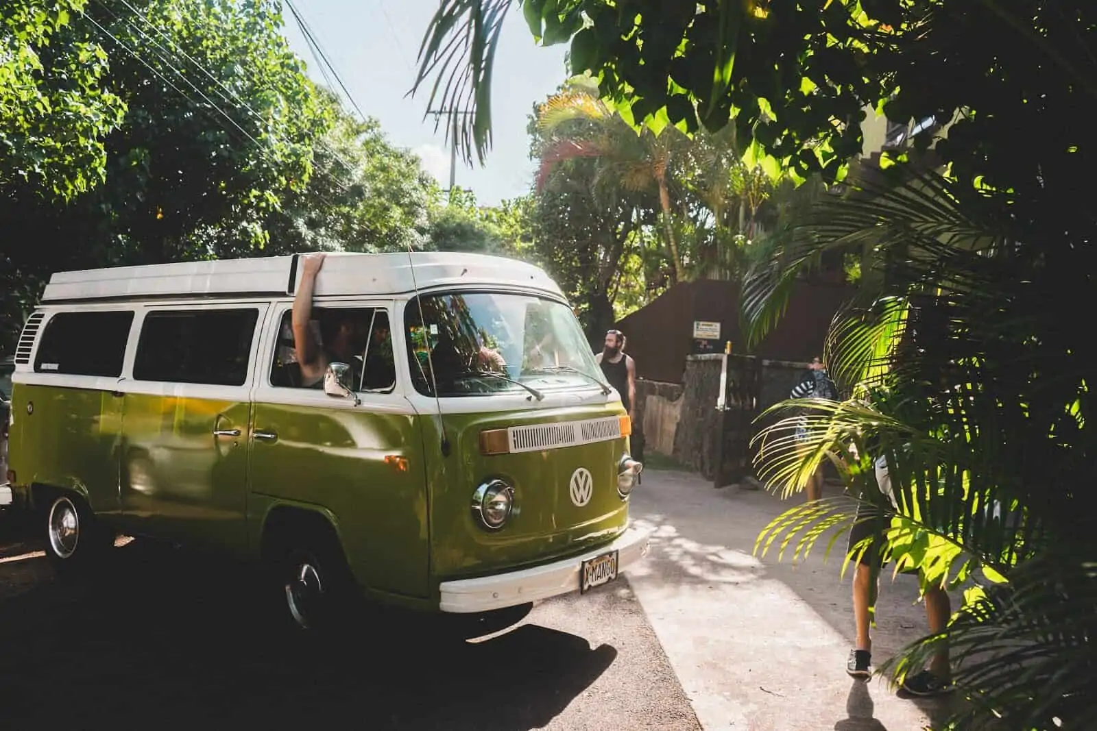 Green VW bus parked by lush trees