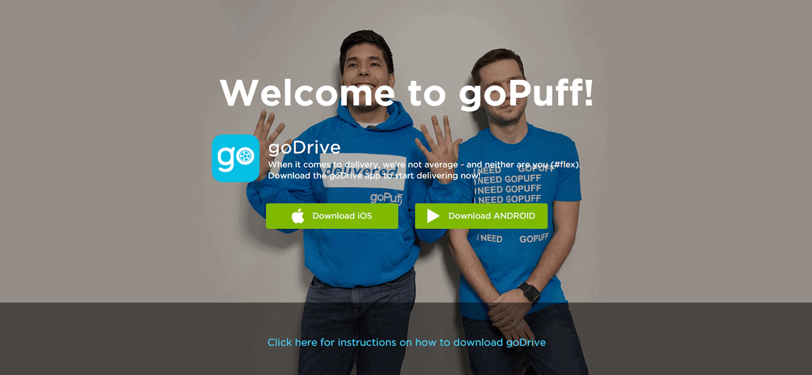 GoPuff driver homepage