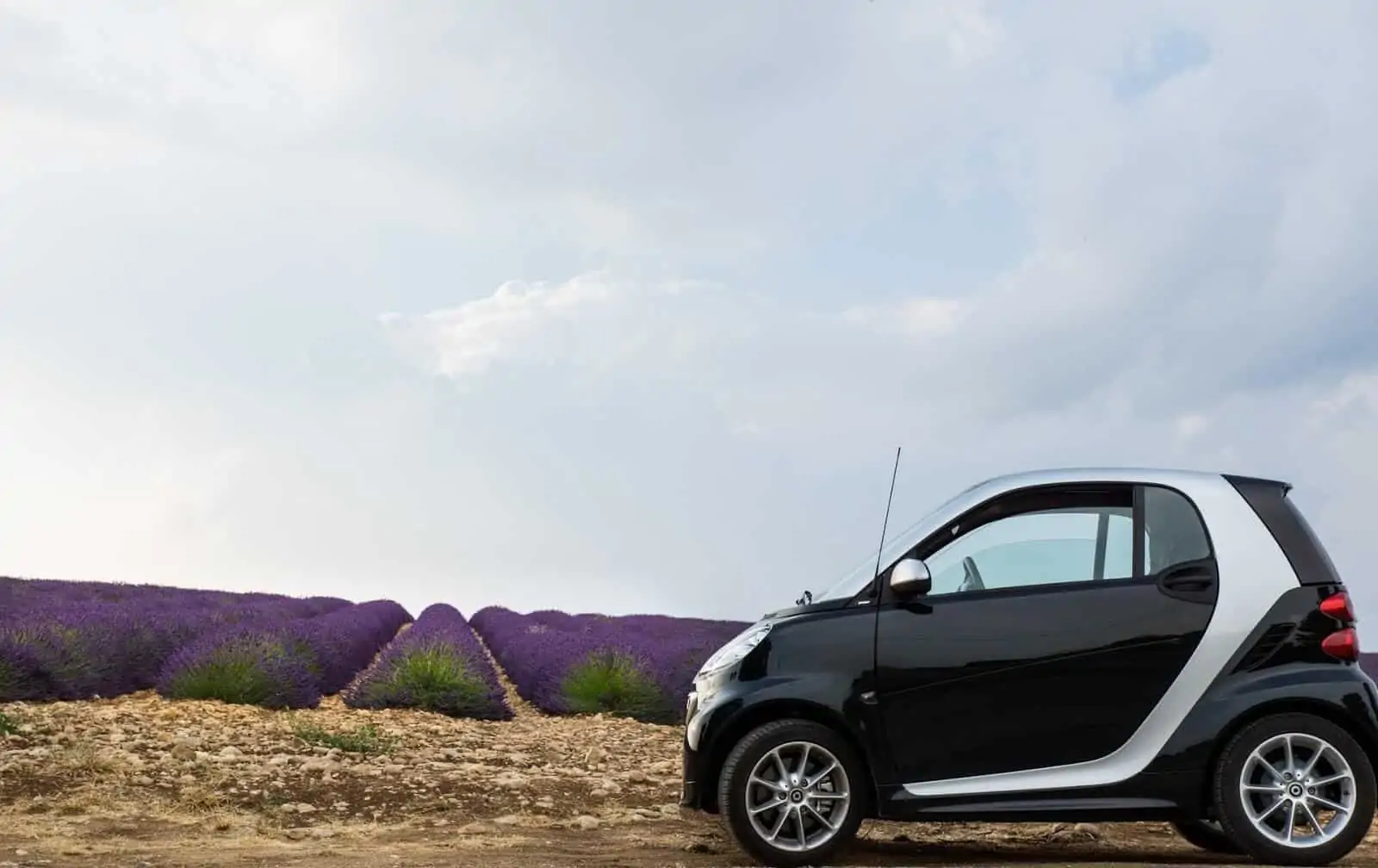 Smart car parked next to flower field