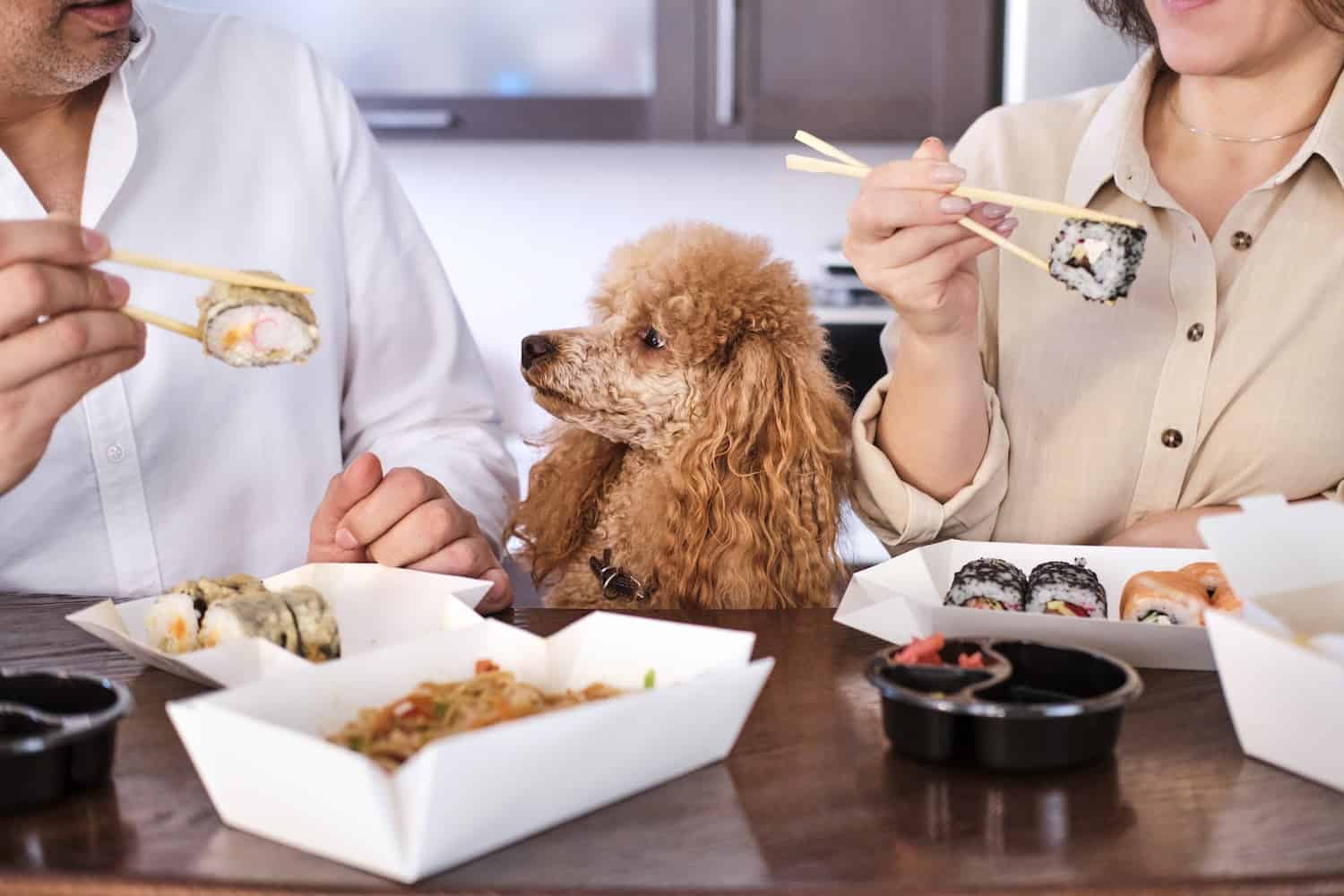 Couple eats takeout with poodle in between them