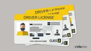 vector image showing the different types of class a b c d drivers license types laid out on background