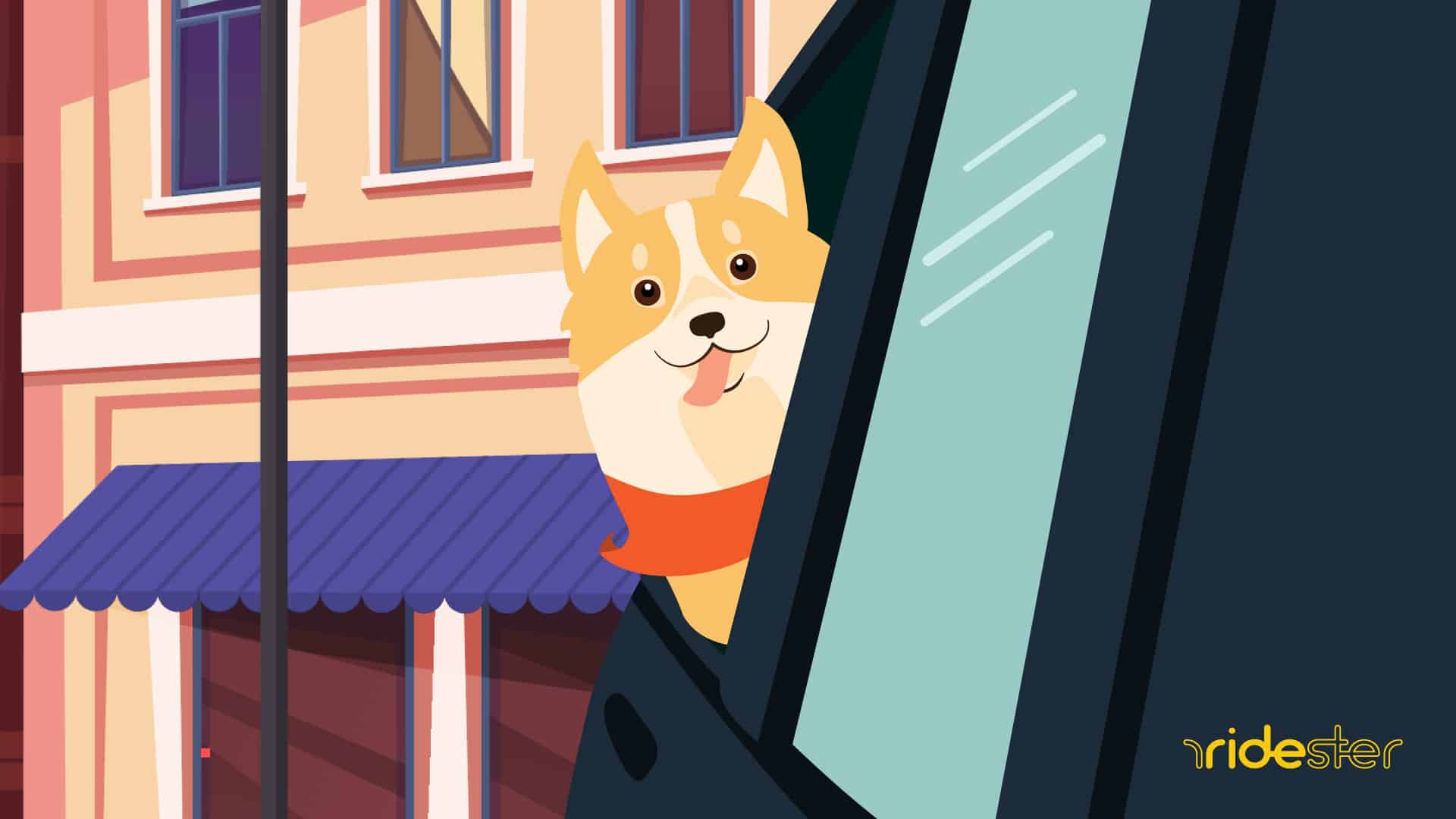 vector graphic showing a dog hanging its head out the window of an Uber Pet ride
