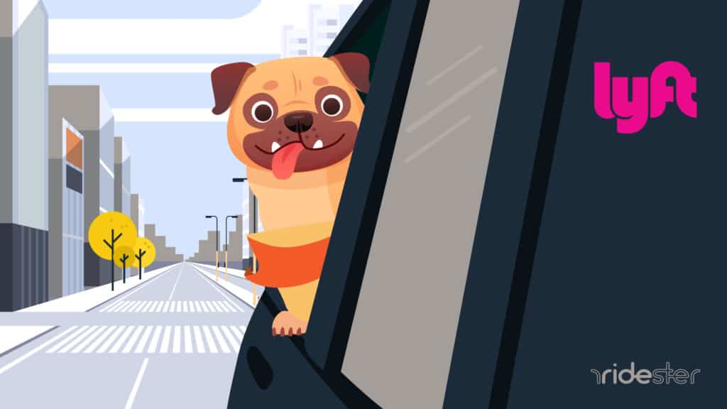 vector graphic showing a Lyft pet hanging its head out the window of a lyft rideshare vehicle