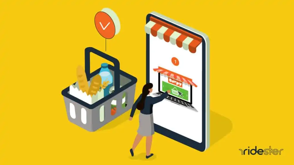 vector graphic showing a person selecting a burpy grocery delivery