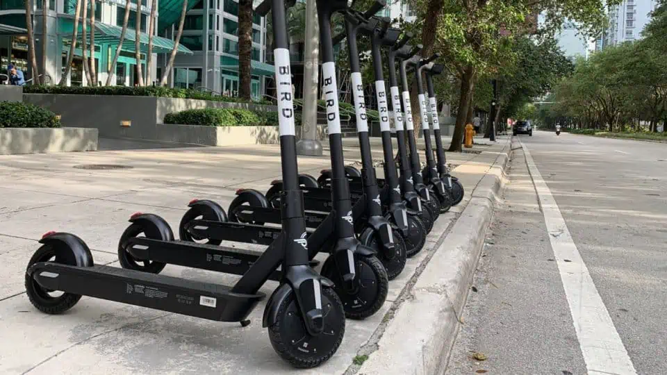 an image of bird scooters lined up on the sidewalk