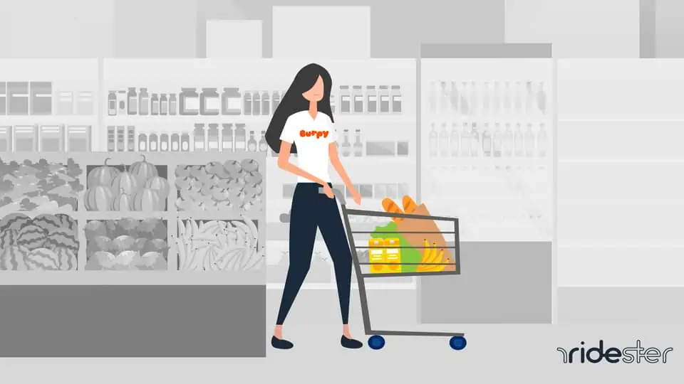 vector graphic showing a burpy shopper inside of a store