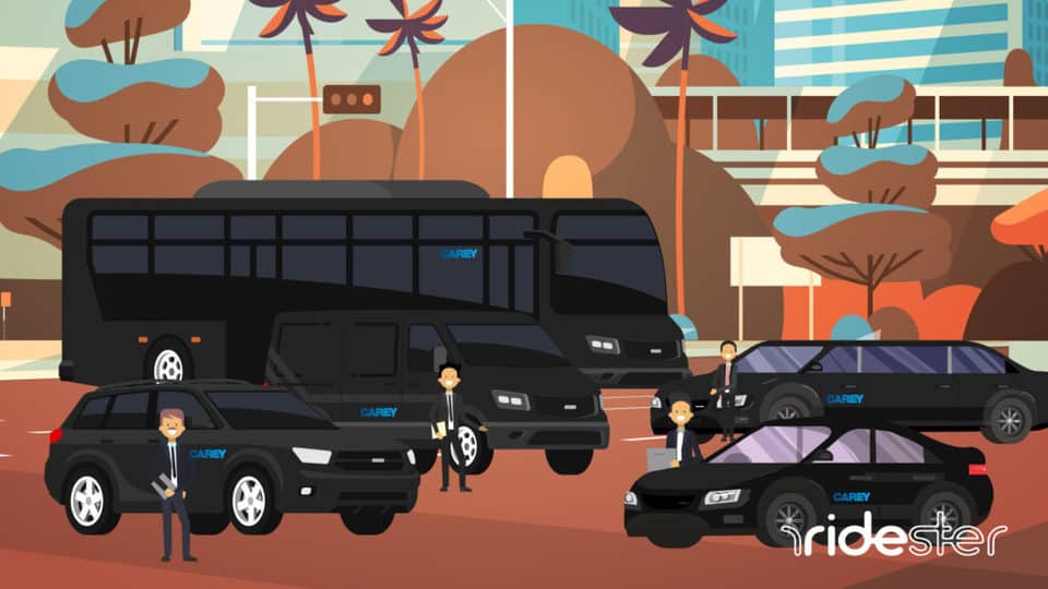 vector graphic showing a hand of carey vehicles picking up passengers