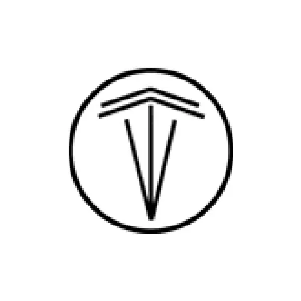 3. Tesla Rents
